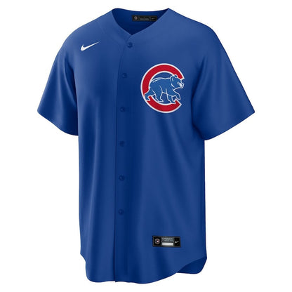 Shōta Imanaga 18 Chicago Cubs Alternate Japanese Characters Men Jersey - Royal