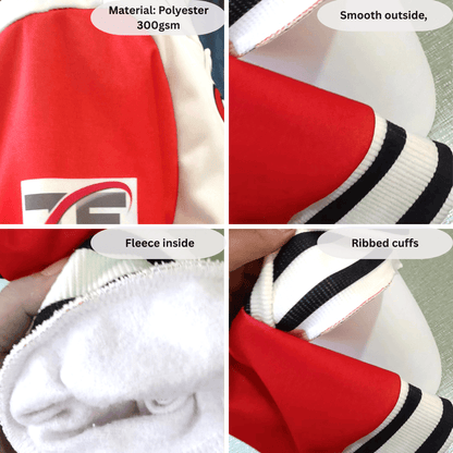 Philadelphia Eagles Super Bowl LIX Champions Dream Come True Varsity Jacket - All-Over-Printed Jacket